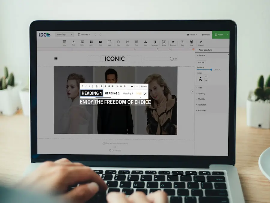 Get LDC Web Builder with LDC's Web Hosting